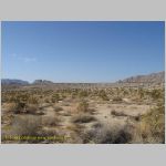 20060812_Mojave_002 copia.jpg